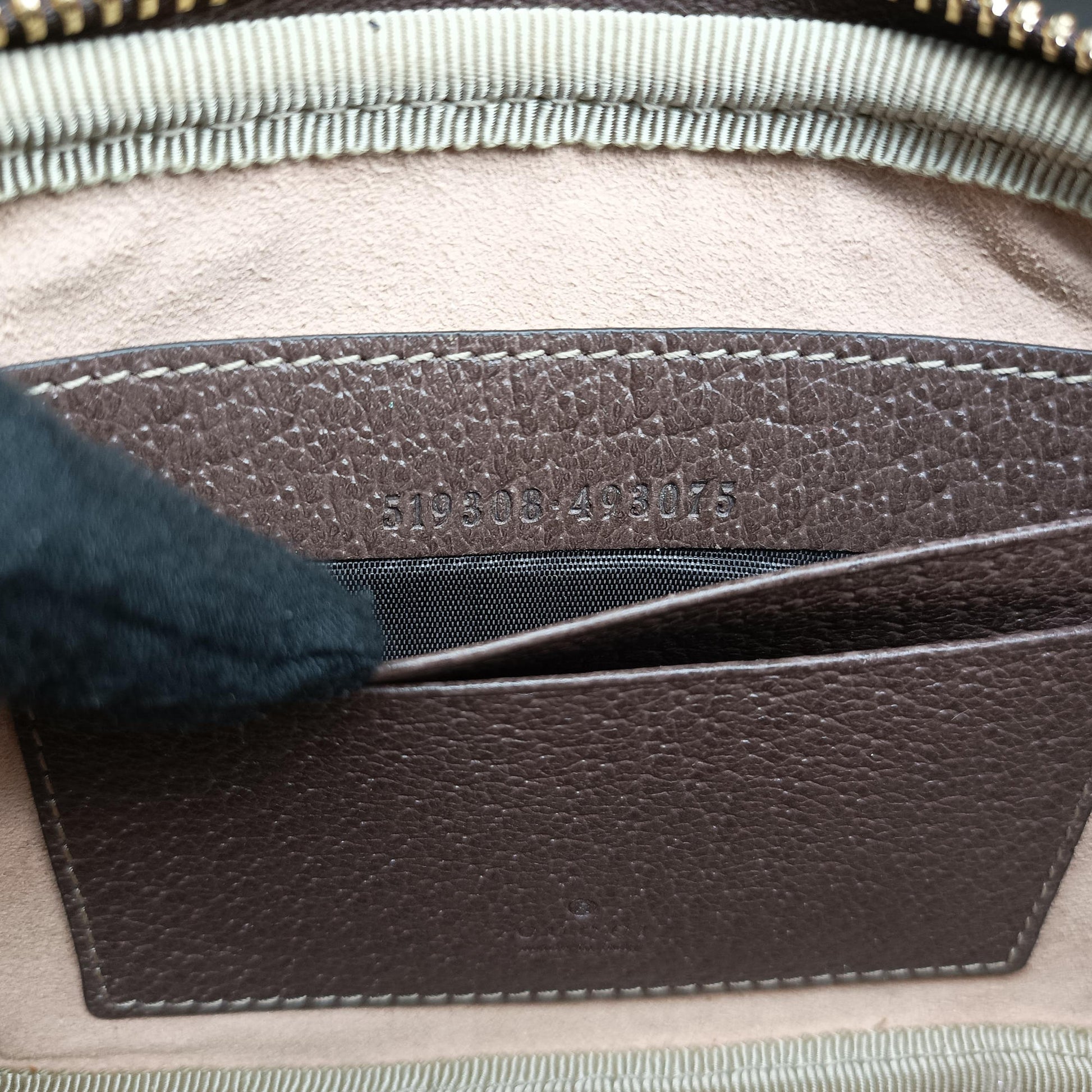 Ophidia Brown PVC coated canvas 519308 オフィディア ブラウン PVCコーティングキャンバス 519308 
