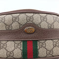 Ophidia Brown PVC coated canvas 519308 オフィディア ブラウン PVCコーティングキャンバス 519308 