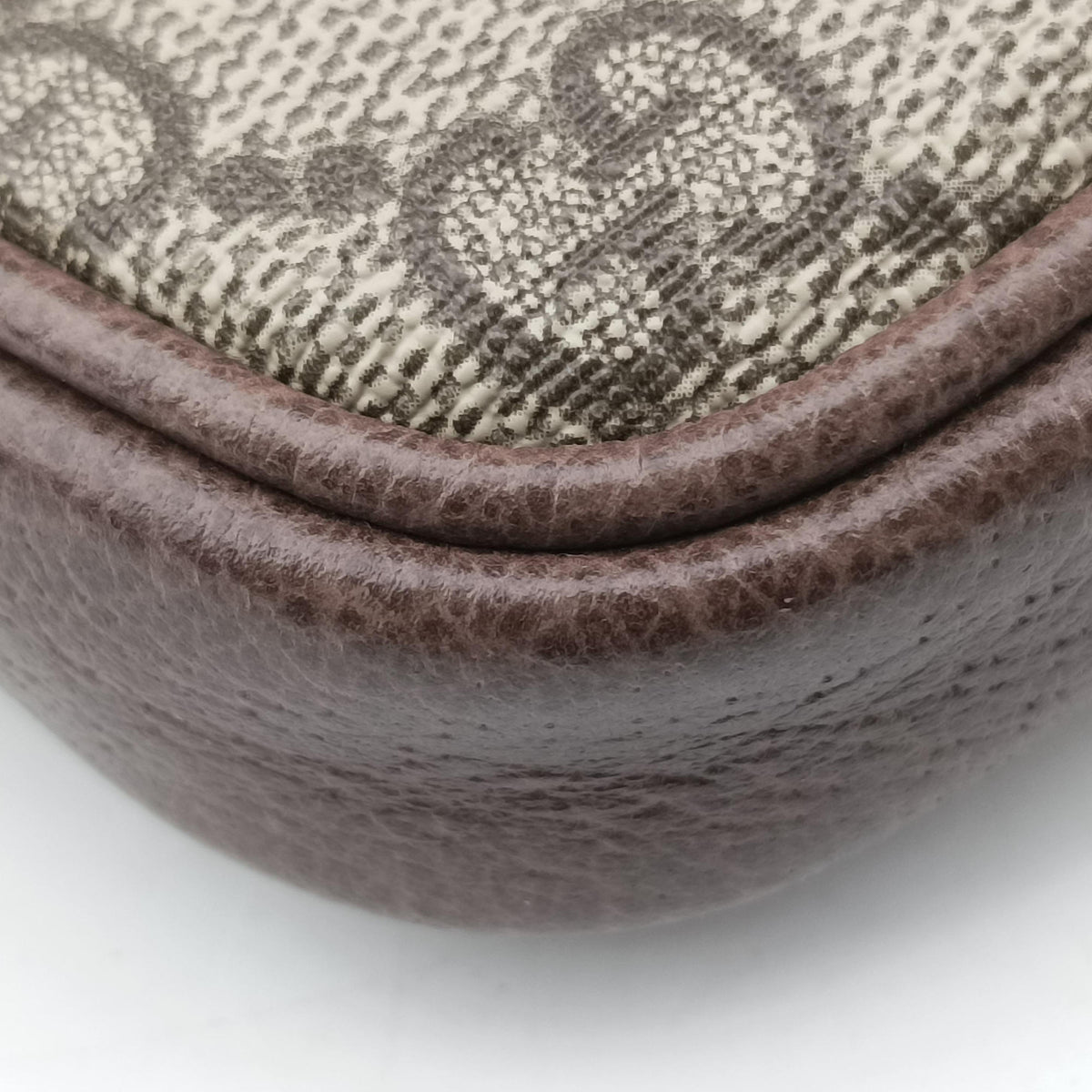 Ophidia Brown PVC coated canvas 519308 オフィディア ブラウン PVCコーティングキャンバス 519308 
