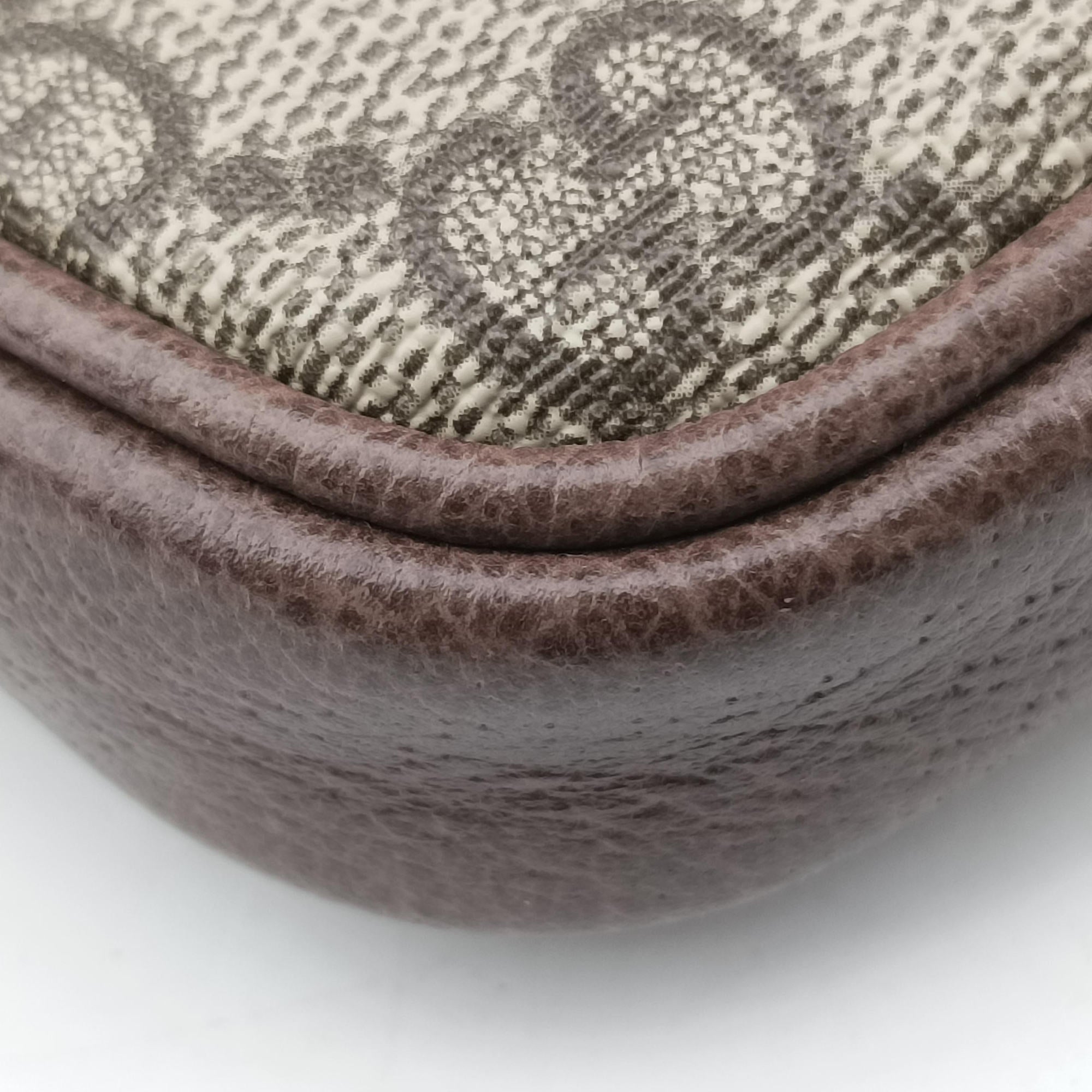 Ophidia Brown PVC coated canvas 519308 オフィディア ブラウン PVCコーティングキャンバス 519308 