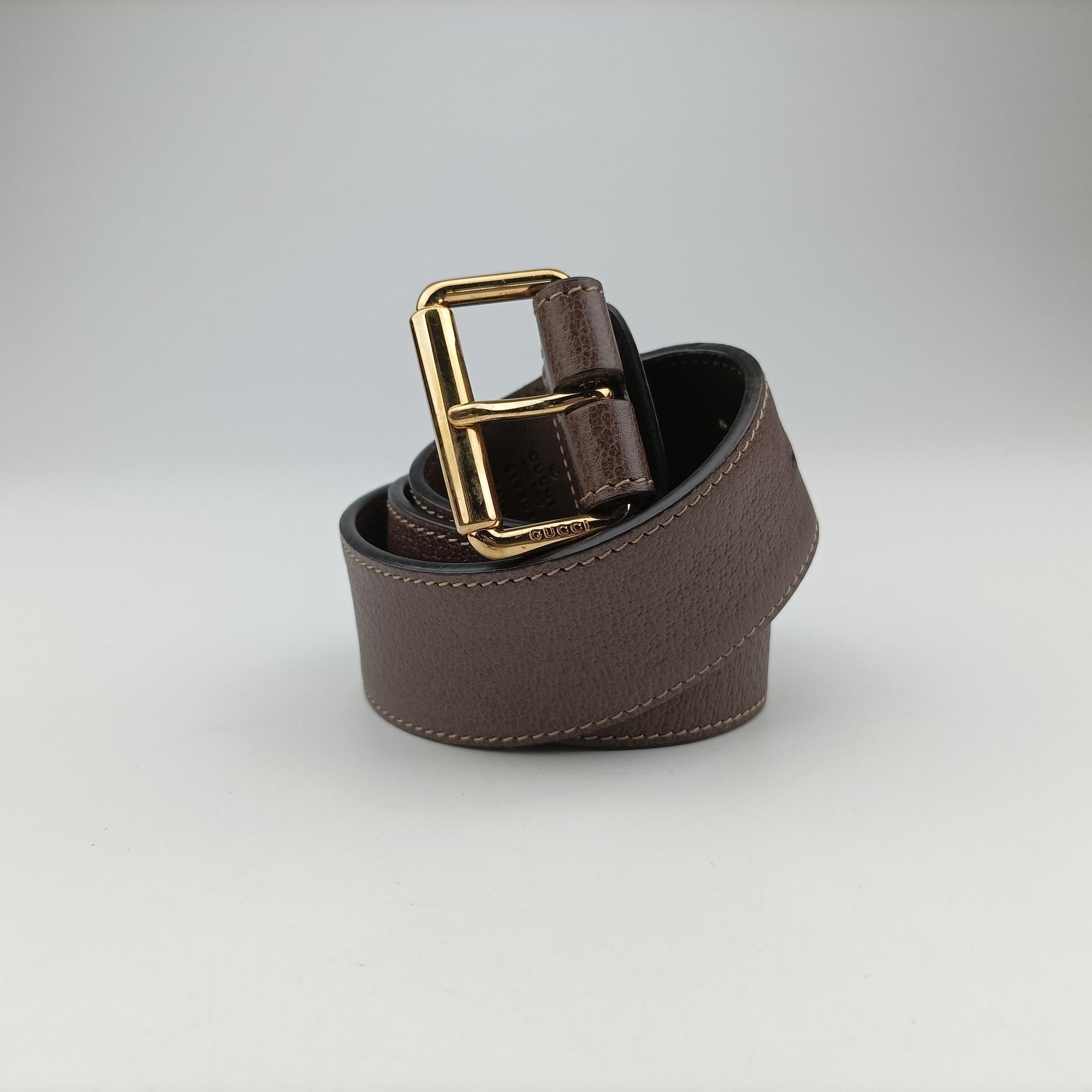 Ophidia Brown PVC coated canvas 519308 オフィディア ブラウン PVCコーティングキャンバス 519308 