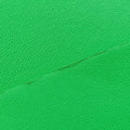 Pre-owned Bottega Veneta THE ARCO Tote Medium Green lambskin  handbag | stylenewstar