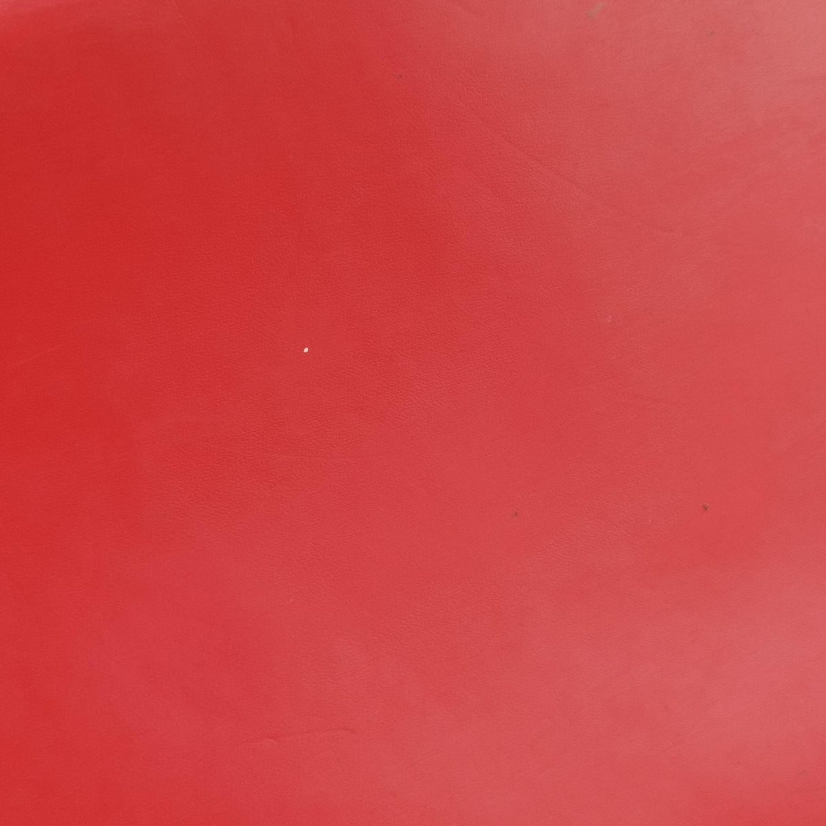NeoNoe COQUELICOT Epi M54365 SR3188ネオノエ コクリコ エピ M54365 SR3188