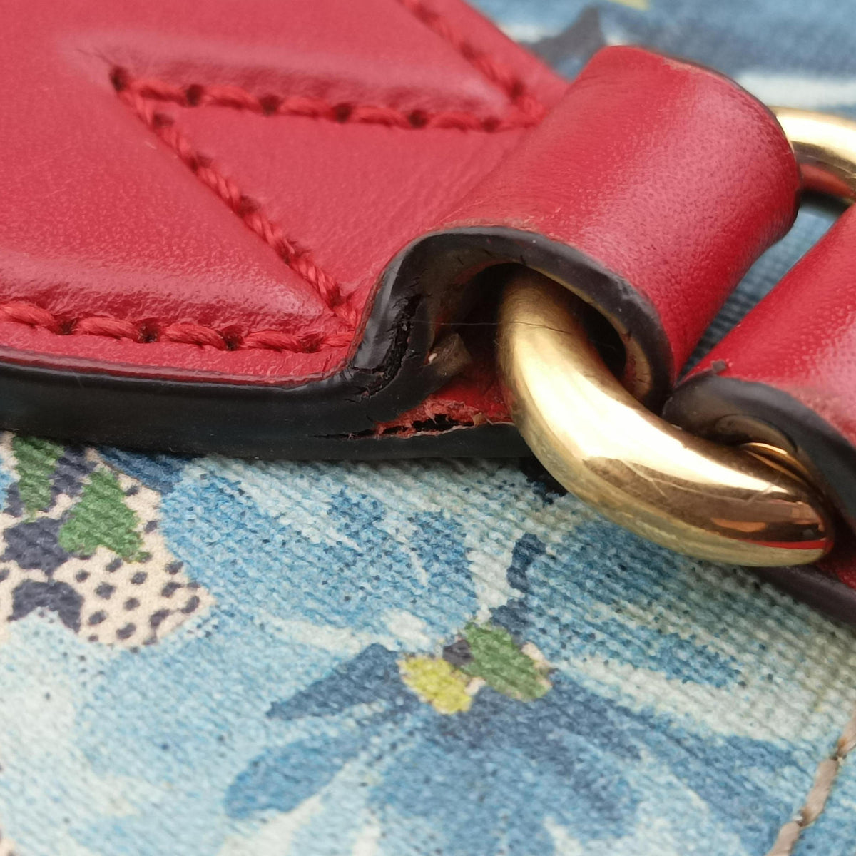 GG Blooms beige×Red×Multicolour PVC coated canvas 546315 A028916953GGブルームス ベージュ×レッド×マルチ PVCコーティングキャンバス 546315 A028916953