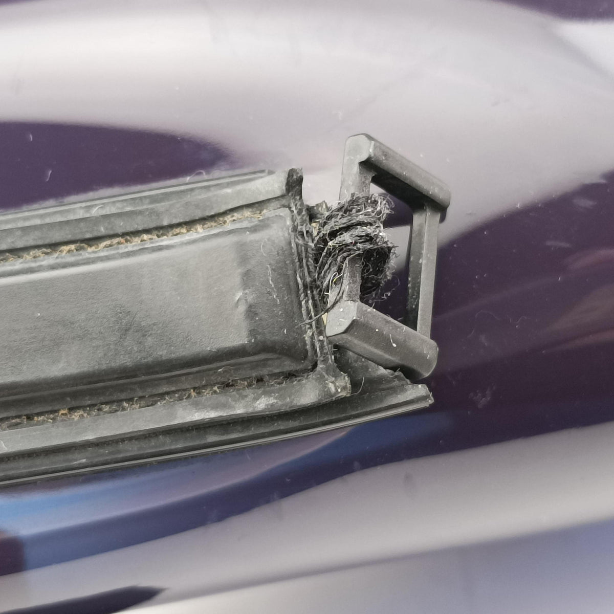 Tempete Purple Vinyl タンペート パープル ビニール