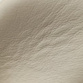 GG Marmont White Leather 448065 A020339018GGマーモント ホワイト レザー 448065 A020339018