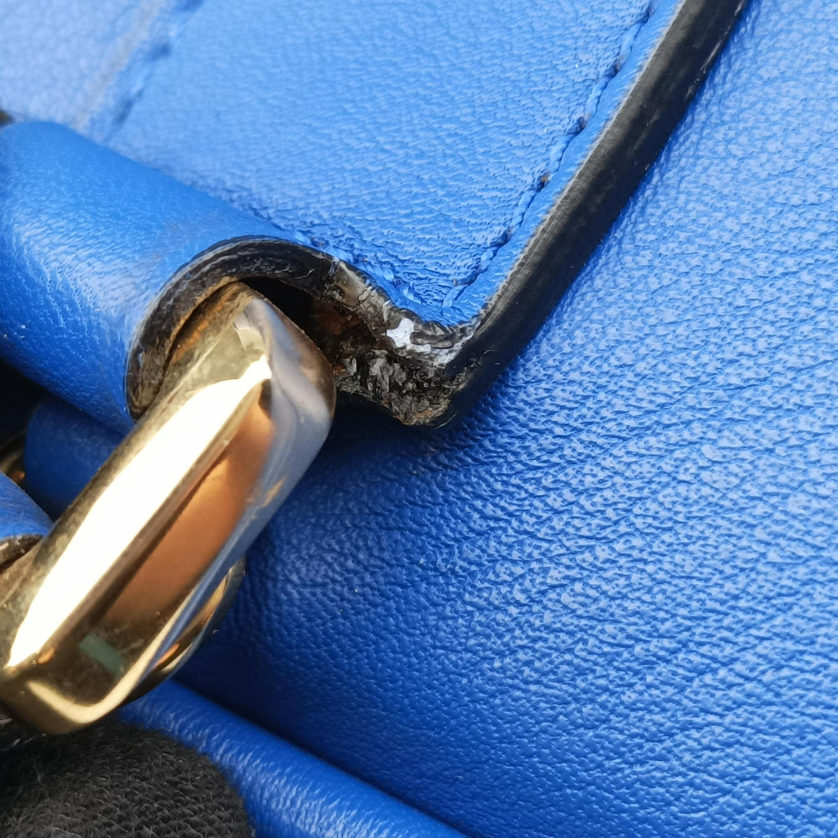 Amazona Blue Leather 011503アマソナ ブルー レザー 011503