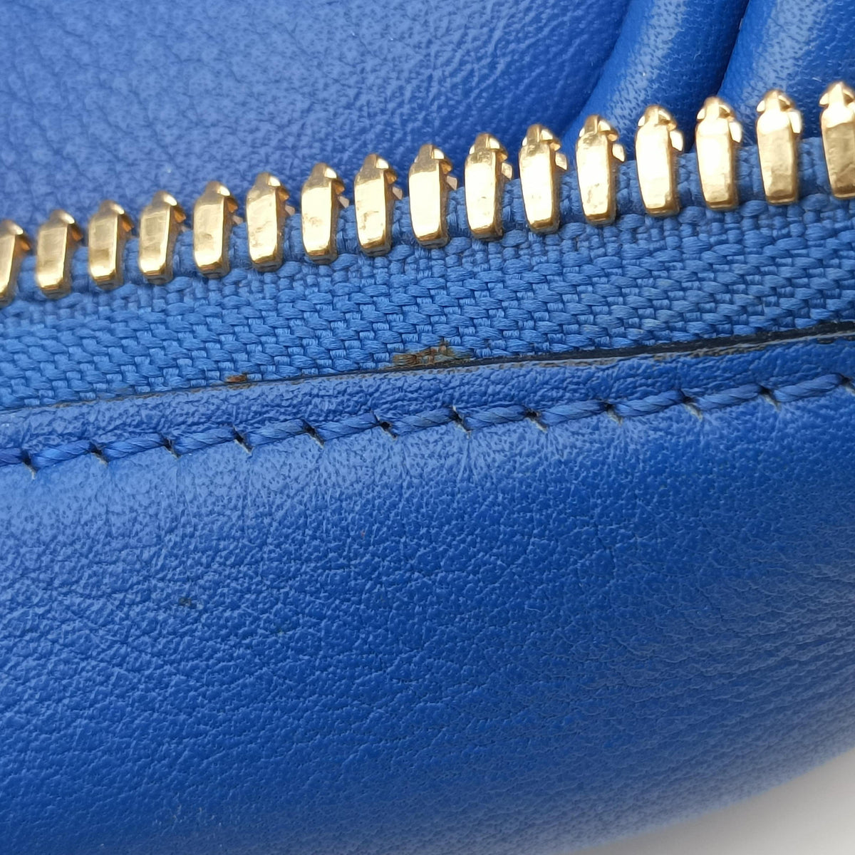Amazona Blue Leather 011503アマソナ ブルー レザー 011503
