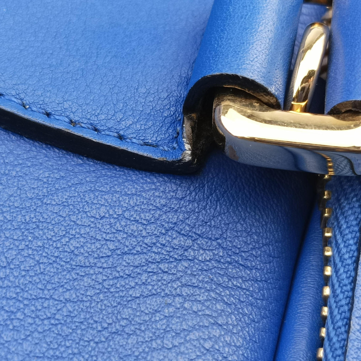 Amazona Blue Leather 011503アマソナ ブルー レザー 011503
