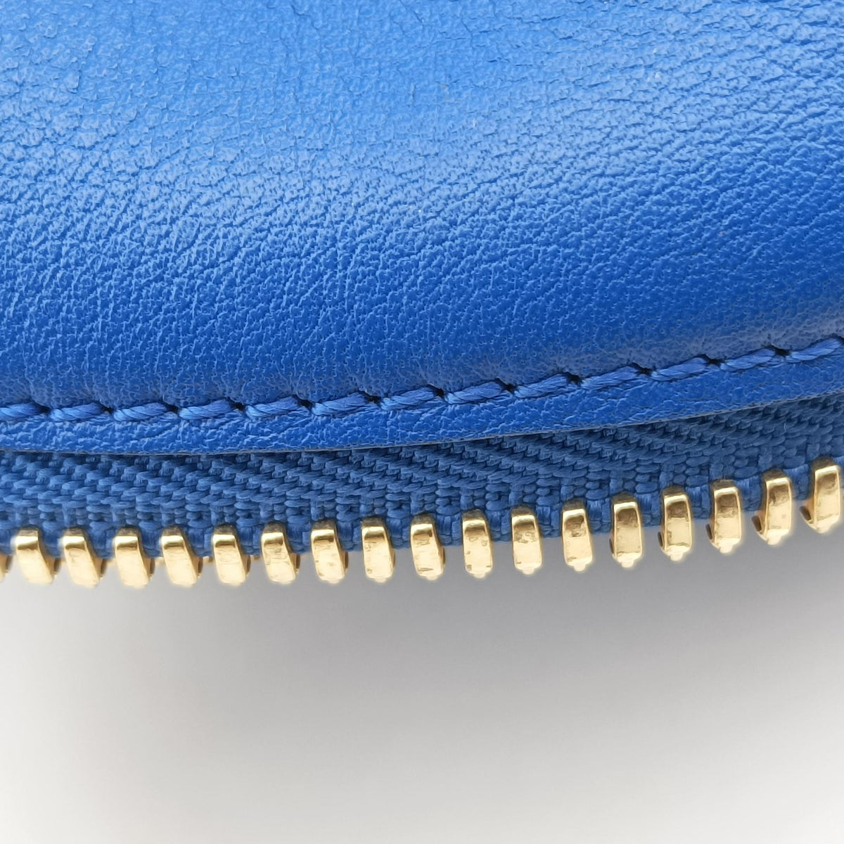 Amazona Blue Leather 011503アマソナ ブルー レザー 011503