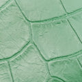 KATE Green Leather 354119 BCI354119.0316ケイト グリーン レザー 354119 BCI354119.0316
