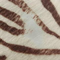 AnimalierZebra Print Brown×White Pony Hair 31 12アニマリエ ゼブラ柄 ブラウン×ホワイト ハラコ 31 12