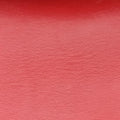 Emily Red Leather 283063 H010825042エミリー レッド レザー 283063 H010825042