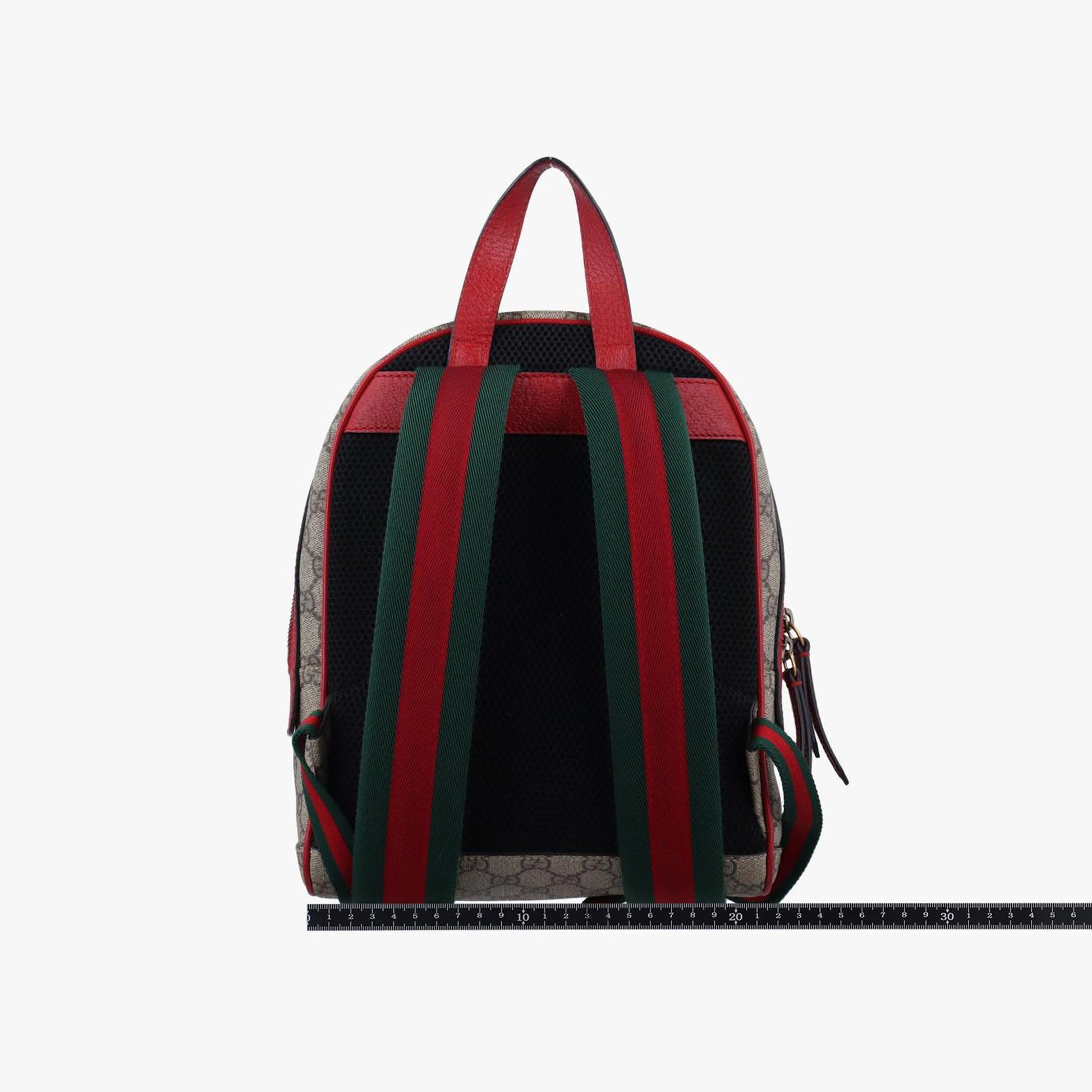 グッチ Gucci リュック/バックパック レディース GGスプリームボスコ　犬プリント マルチカラー PVCコーティングキャンバス 495621 E025829348