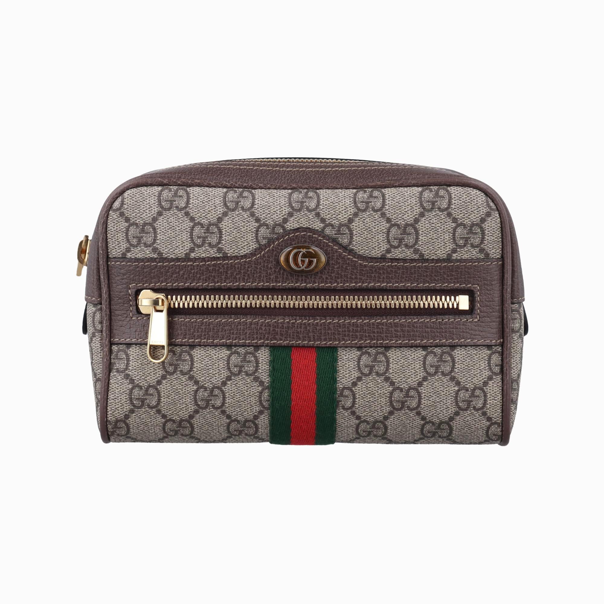 グッチ Gucci ボディバッグ/ウェストバッグ レディース オフィディア ブラウン PVCコーティングキャンバス×レザー 517076 H024790655