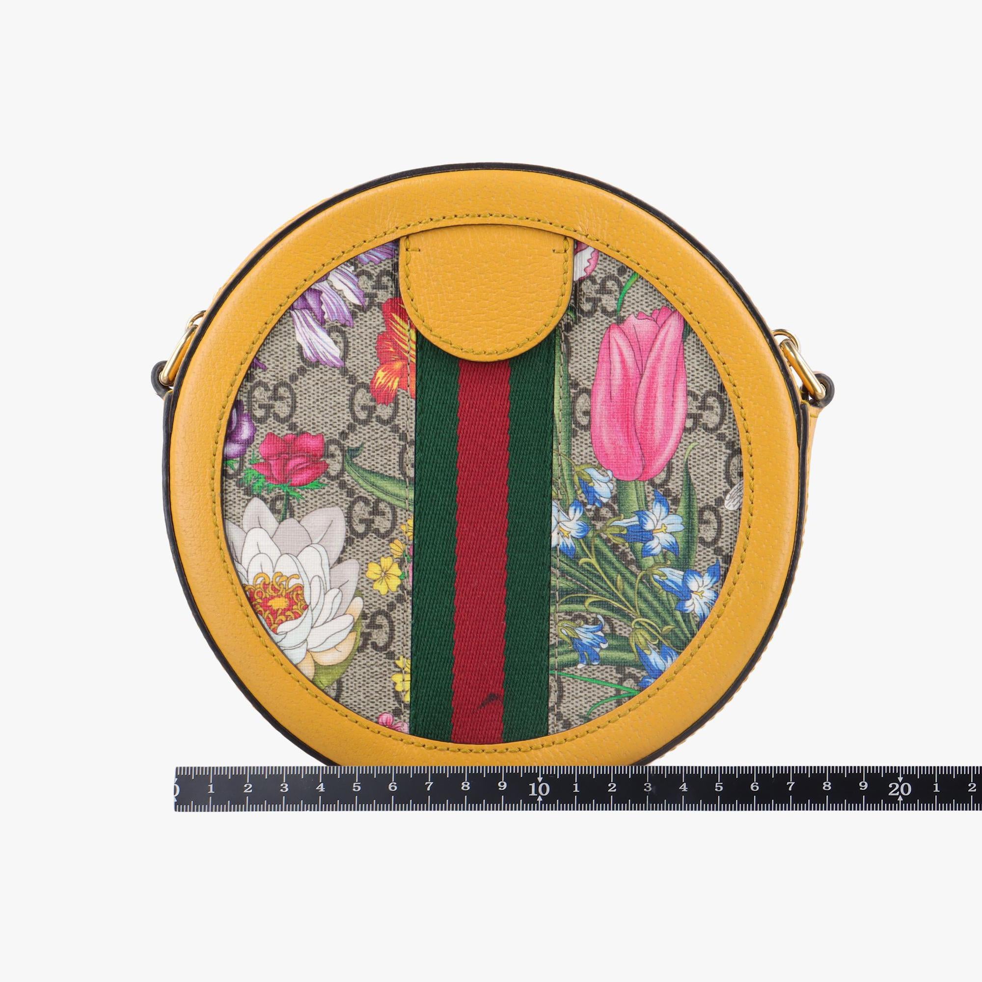 グッチ Gucci ショルダーバッグ レディース マルチカラー 550618 520981 B030349470