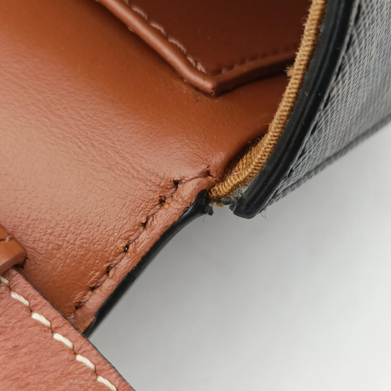 Mini Triomphe Brown PVC coated canvas  F-SD-0292ミニ トリオンフ ブラウン PVCコーティングキャンバス  F-SD-0292