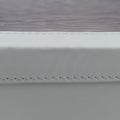 SOFT TRUNK TRANSPARENTｘWHITE Epi Plage M55602 DU3199ソフト トランク トランスペアレントｘホワイト エピプラージュ M55602 DU3199