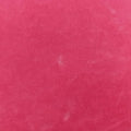 Kan I F Logo Pink velour 8BS012 8BS012 A3V6 189-8210キャナイ エフ ロゴ ピンク ベロア 8BS012 8BS012 A3V6 189-8210