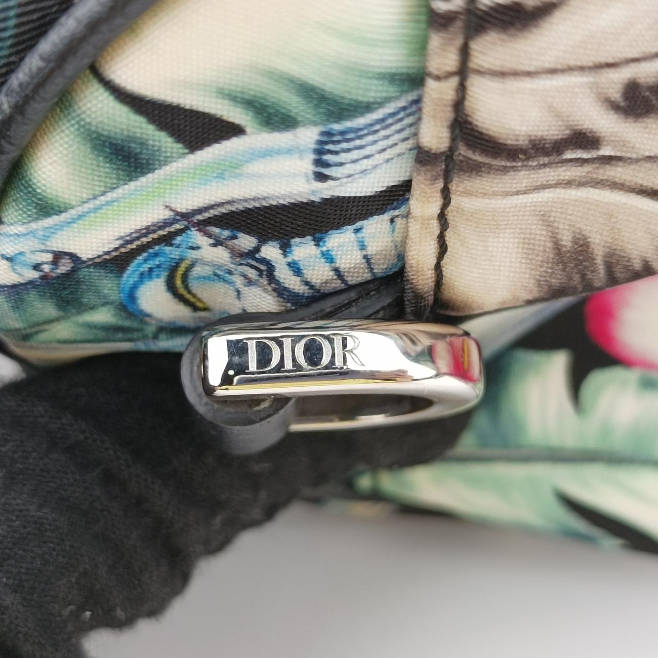 Christian Dior Sorayama Roller Multicolour canvas  02-BO-0149クリスチャン ディオール ソラヤマー ローラー マルチカラー キャンバス  02-BO-0149