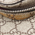 GG Blooms Multicolour PVC coated canvas 405019 C019124378GGブルームス マルチカラー PVCコーティングキャンバス 405019 C019124378