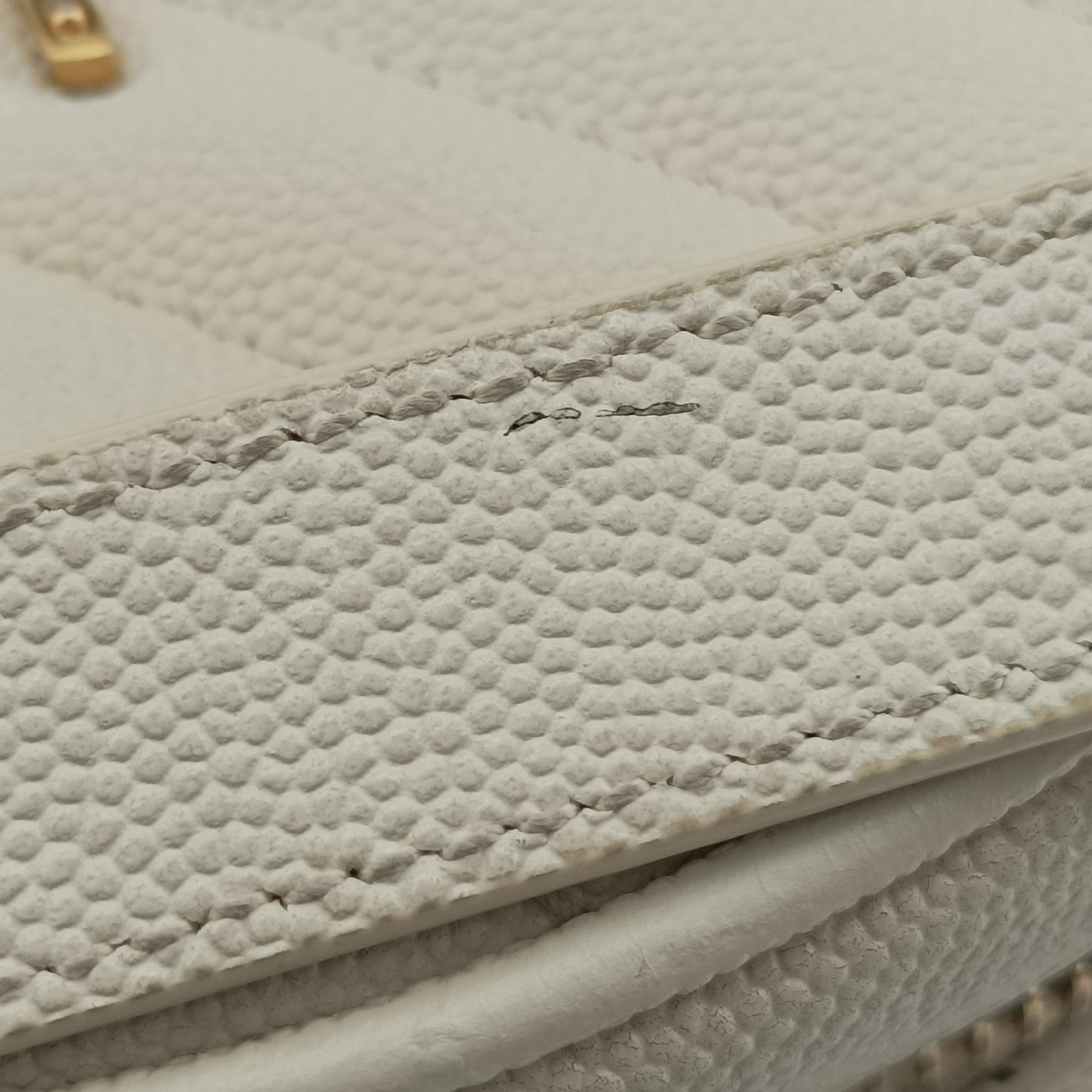 VINYLE White Caviar Skin 610436 PTR610436.0521ヴィニル ホワイト キャビアスキン 610436 PTR610436.0521