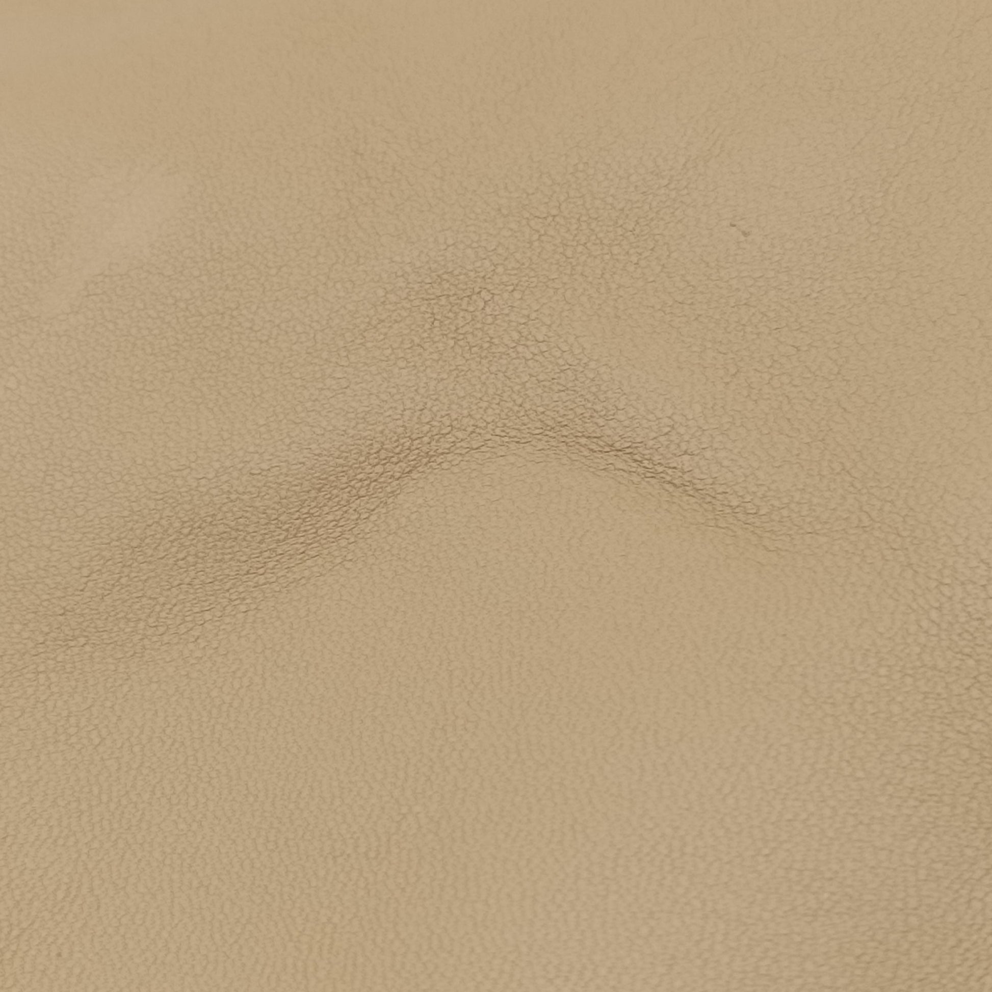 Large 1970 beige Leather 290681 C0002420ラージ 1970 ベージュ レザー 290681 C0002420