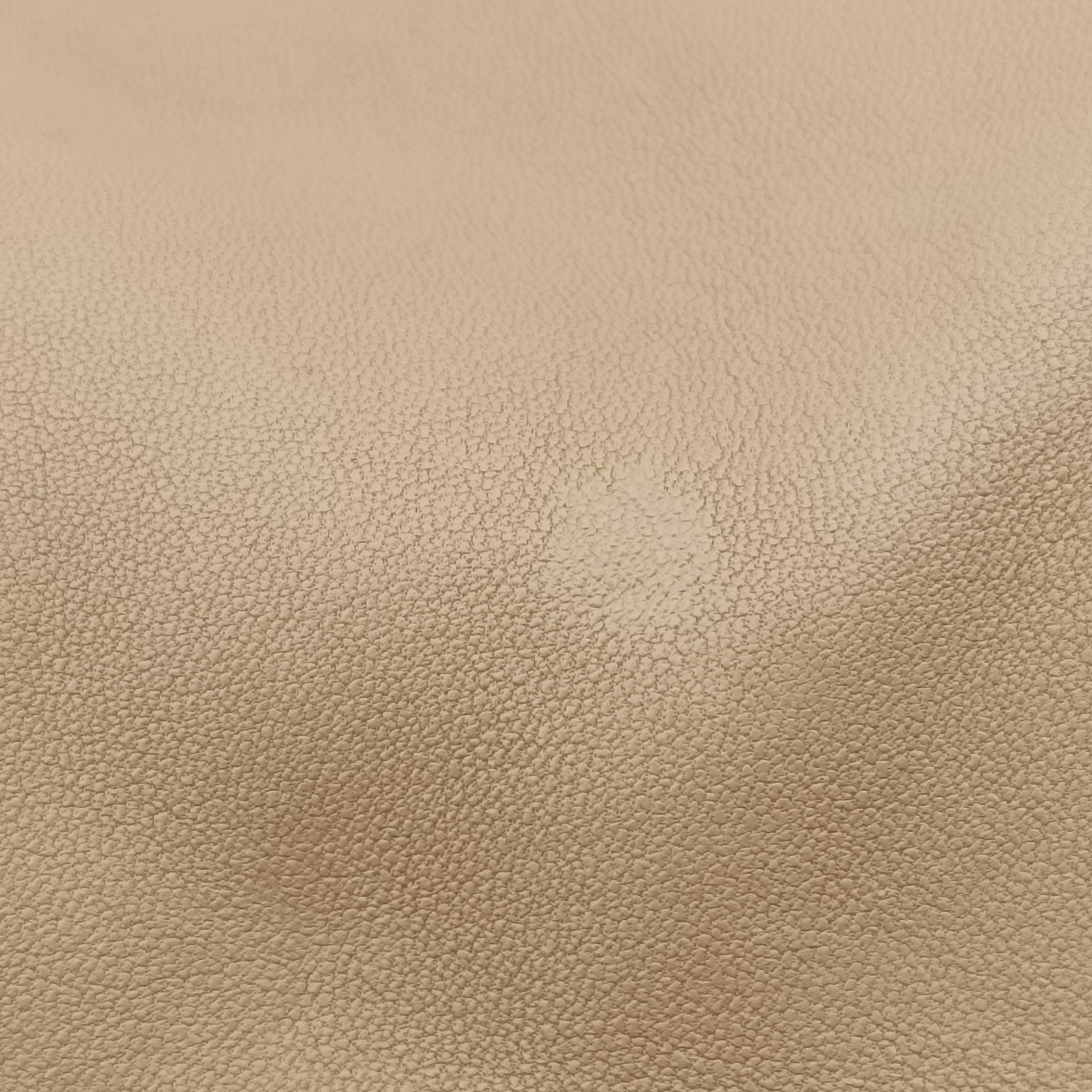 Large 1970 beige Leather 290681 C0002420ラージ 1970 ベージュ レザー 290681 C0002420