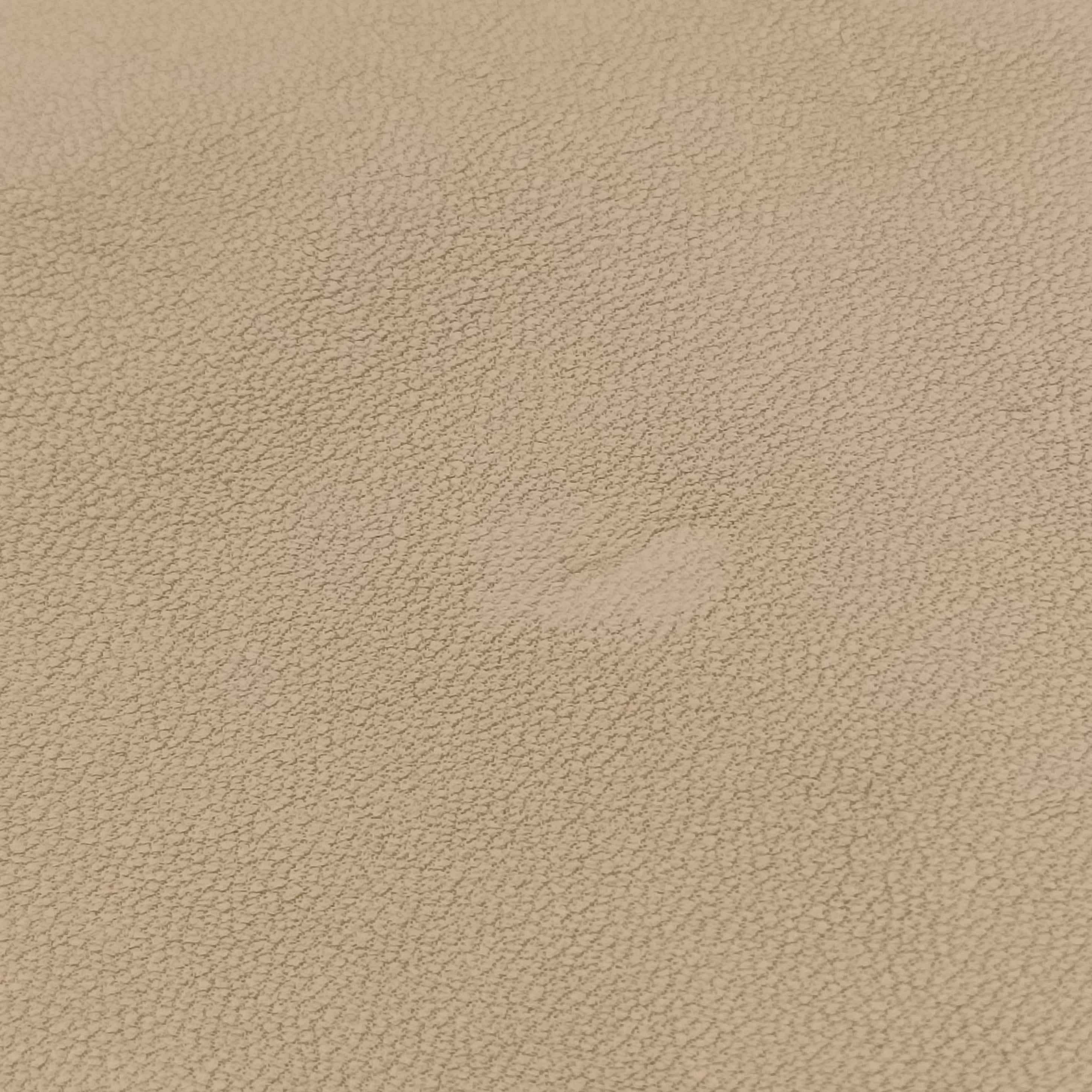 Large 1970 beige Leather 290681 C0002420ラージ 1970 ベージュ レザー 290681 C0002420