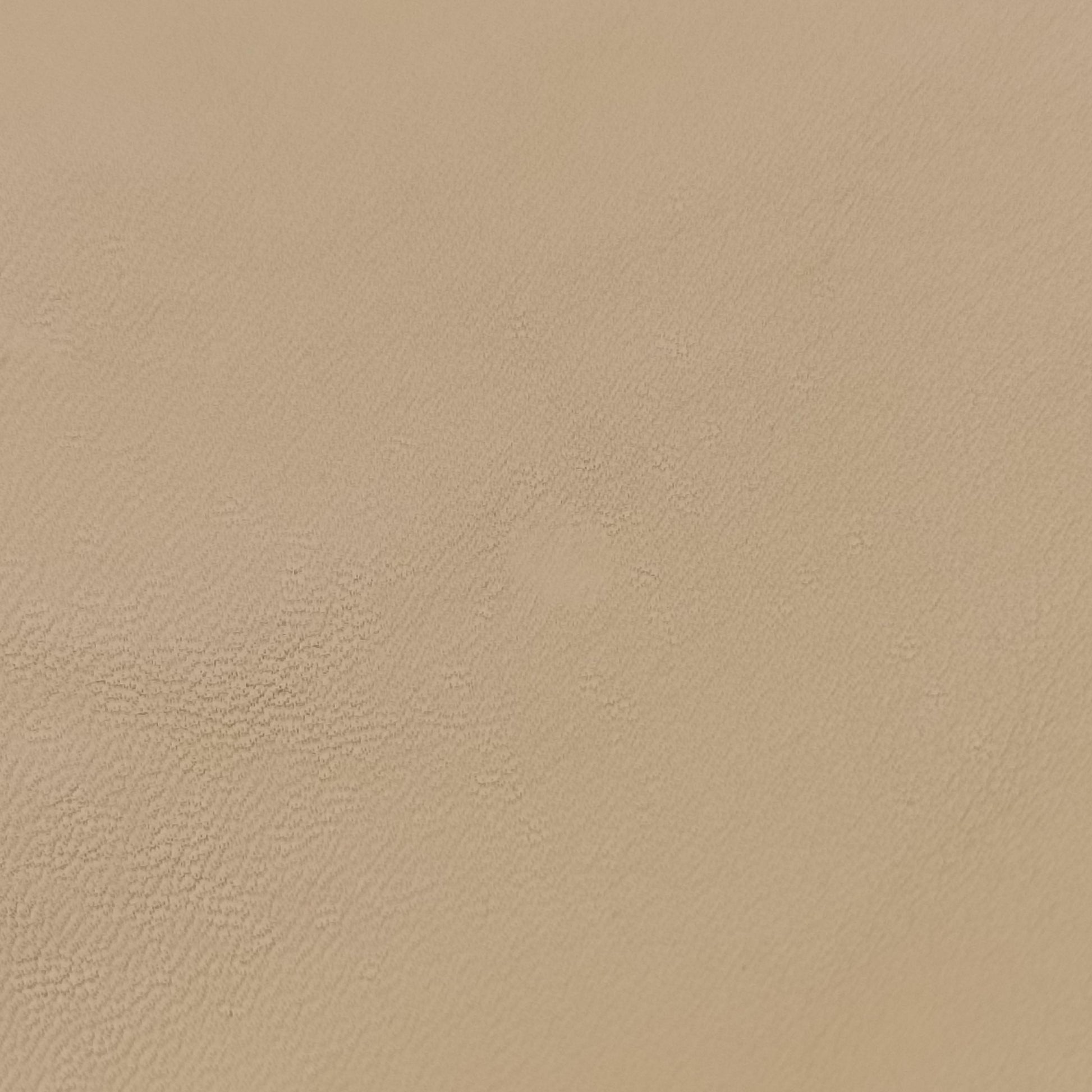 Large 1970 beige Leather 290681 C0002420ラージ 1970 ベージュ レザー 290681 C0002420