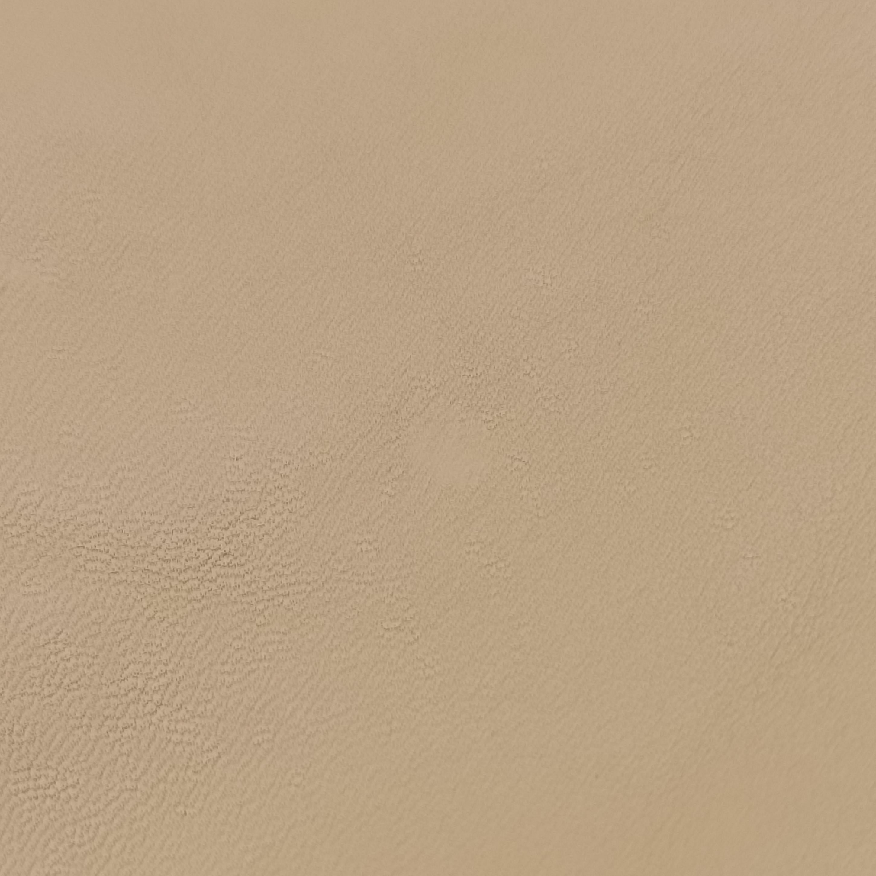 Large 1970 beige Leather 290681 C0002420ラージ 1970 ベージュ レザー 290681 C0002420