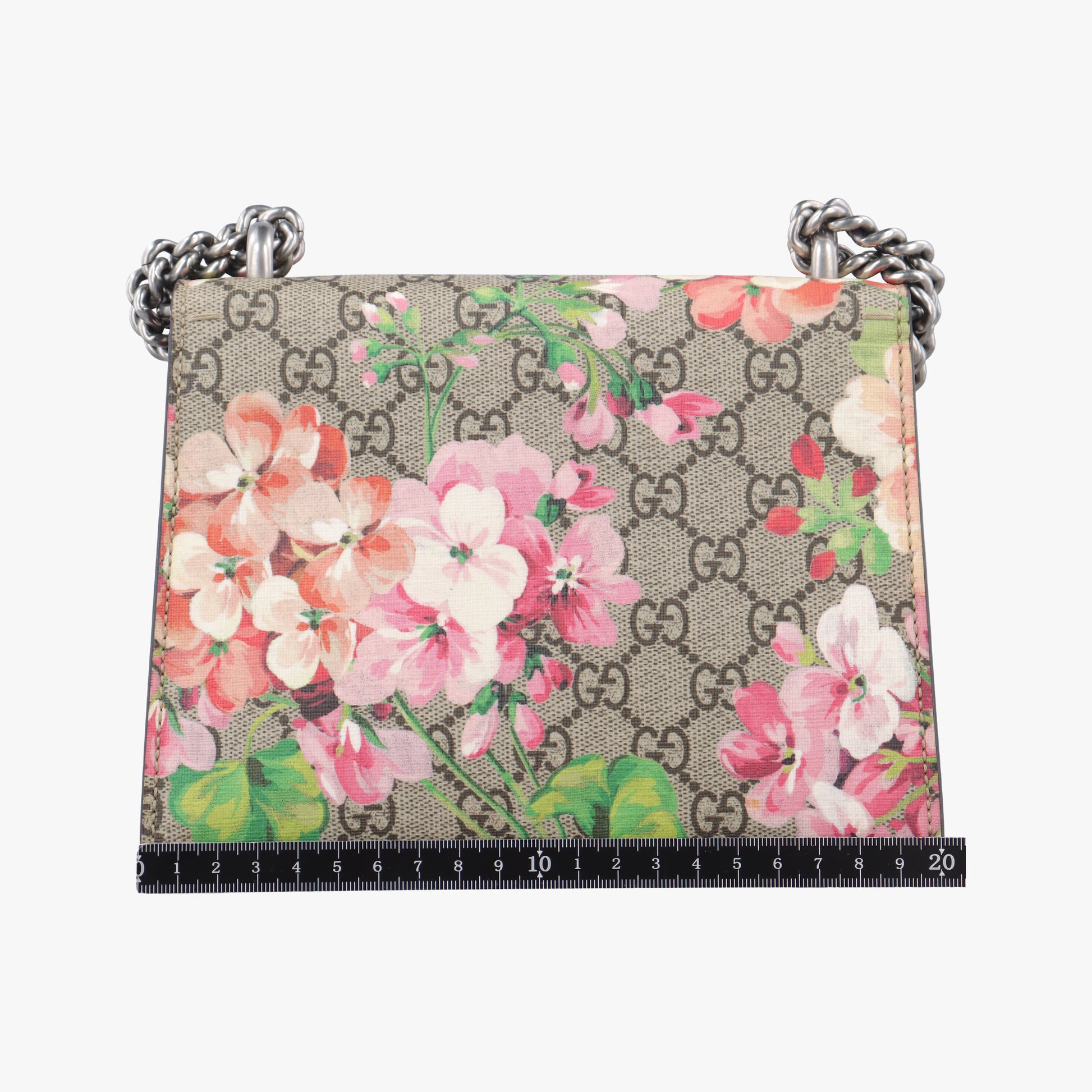 Dionysus beige×red×multicolor PVC coated canvas 421970 G025238917ディオニュソス ベージュ×レッド×マルチカラー PVCコーティングキャンバス 421970 G025238917