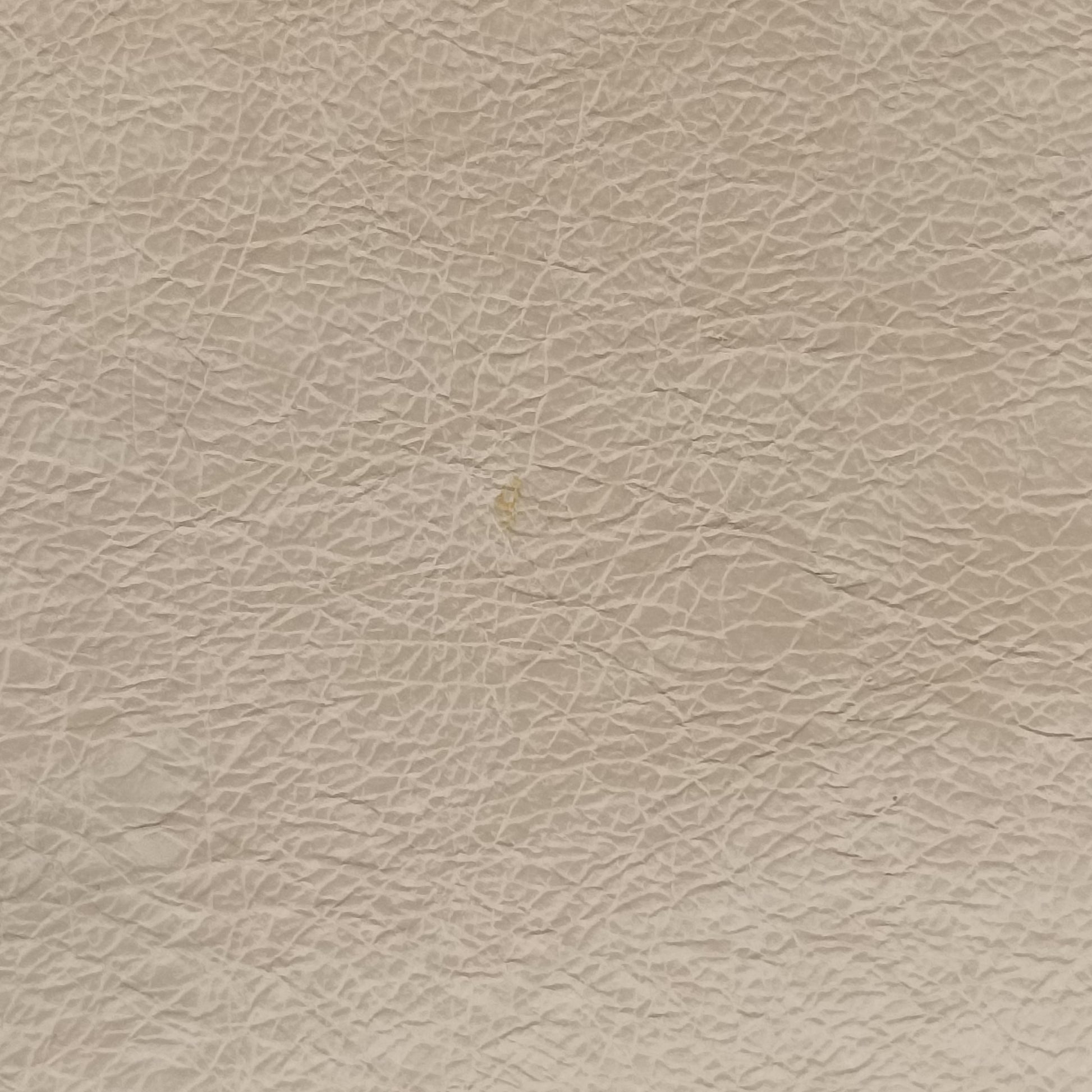 flap Beige Leather 8BH364 8BH364-A86T-199-12085フラップ ベージュ レザー 8BH364 8BH364-A86T-199-12085