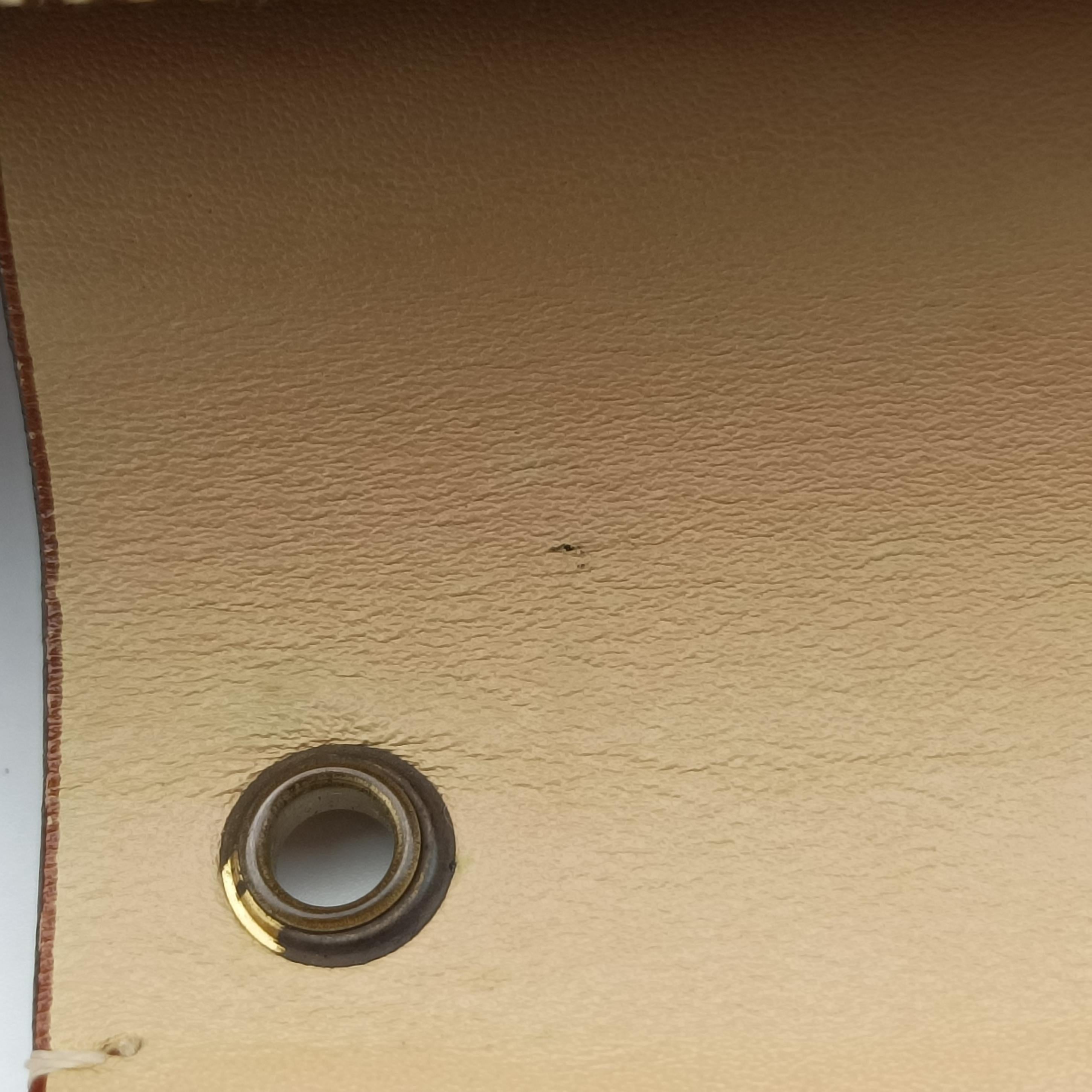 Street Chic Trotter Beige x brown canvas x leather 03BM-1022ストリートシックトロッター ベージュ×ブラウン キャンバス×レザー 03BM-1022