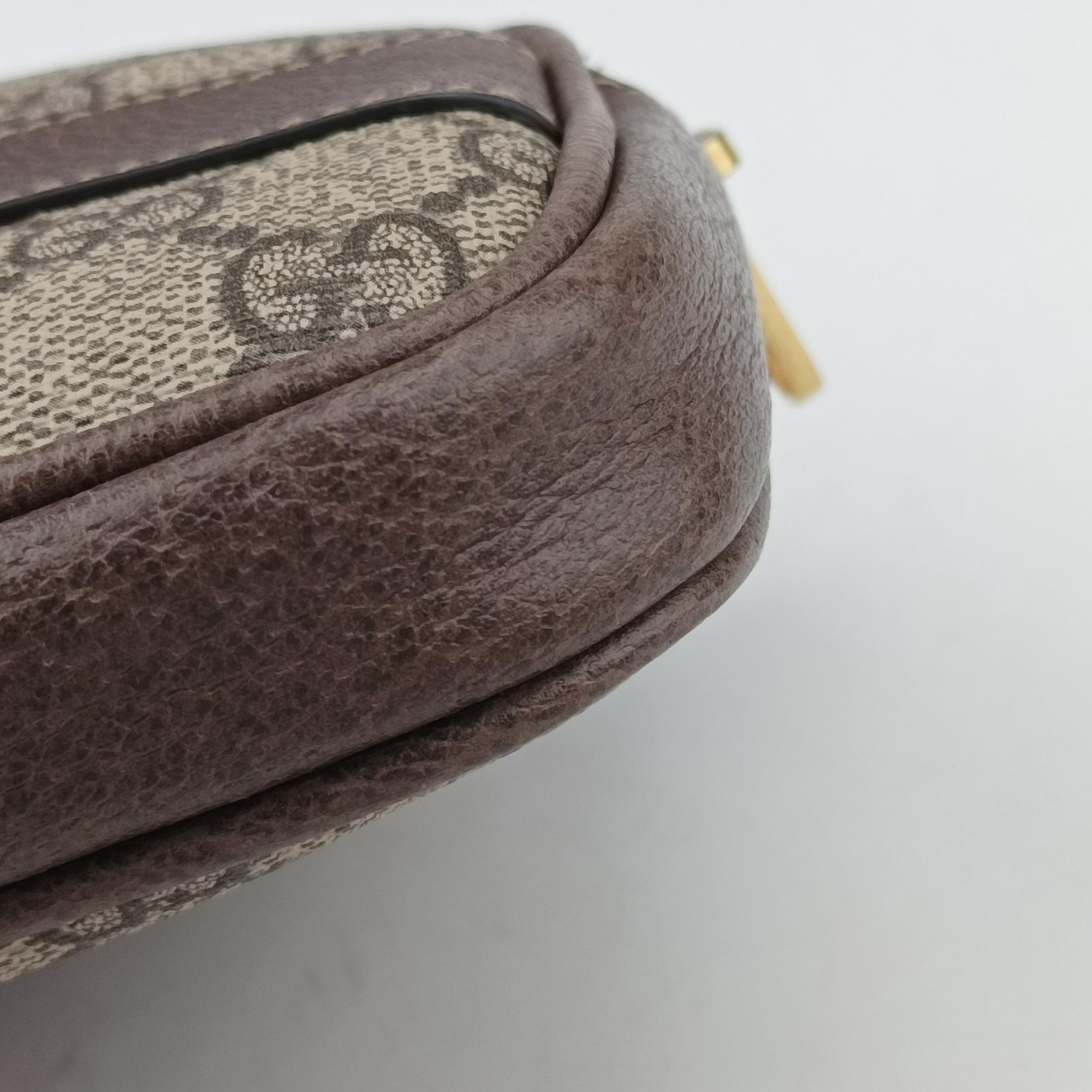 Ophidia Brown×green×red PVC coated canvas x leather 519308 オフィディア ブラウン×グリーン×レッド PVCコーティングキャンバス×レザー 519308 