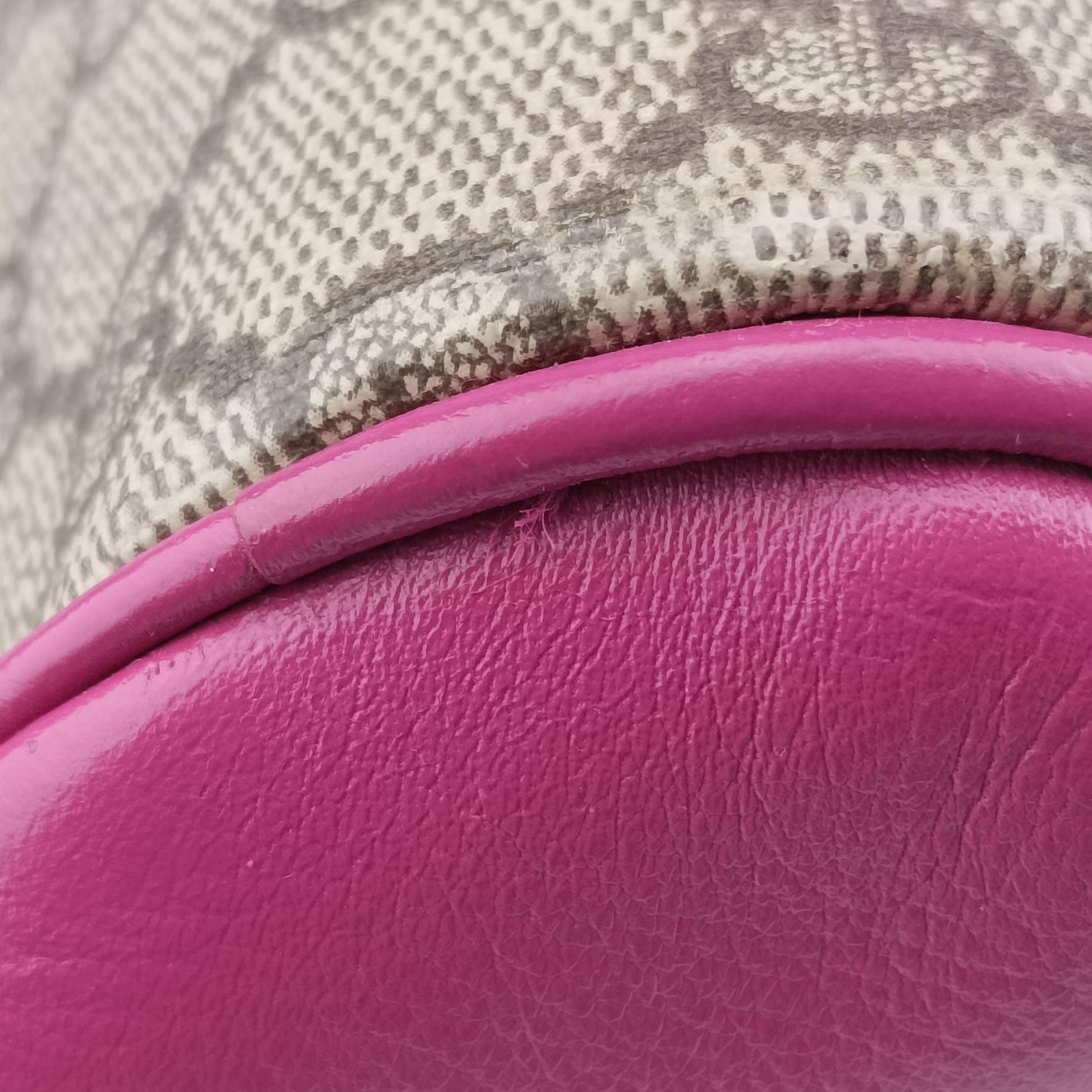 GG SUPREME beige×red×pink PVC coated canvas 409529 H019476764GGスプリーム ベージュ×レッド×ピンク PVCコーティングキャンバス 409529 H019476764