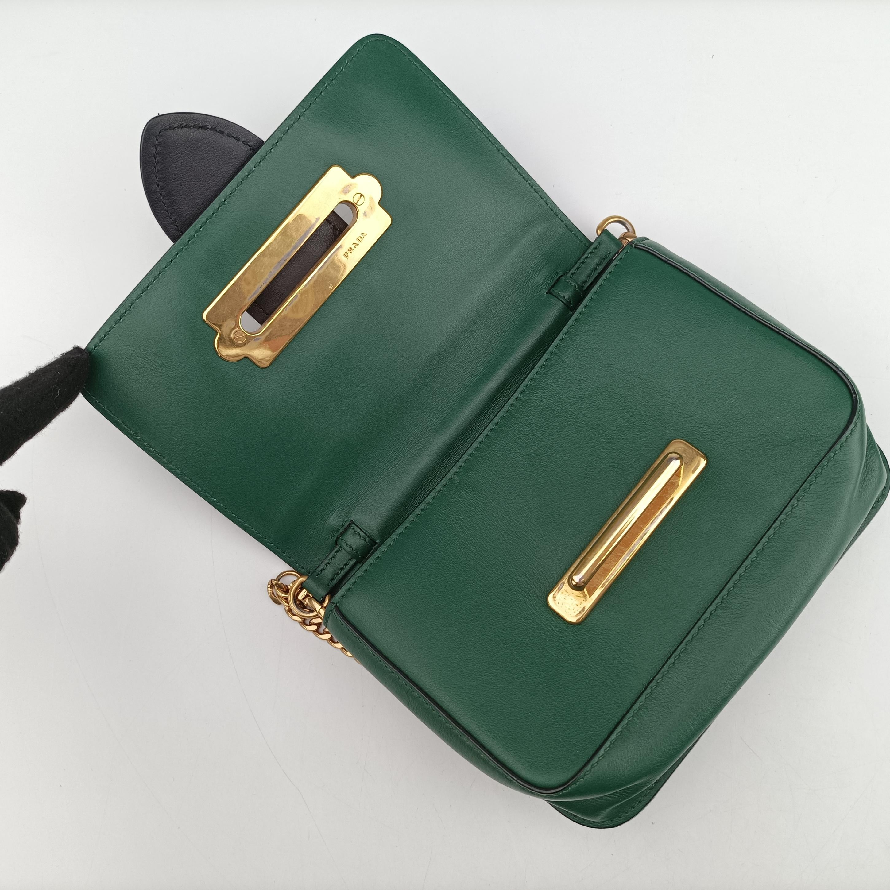 City Calf Cahier Green×black leather 256シティカーフ カイエ グリーン×ブラック レザー 256