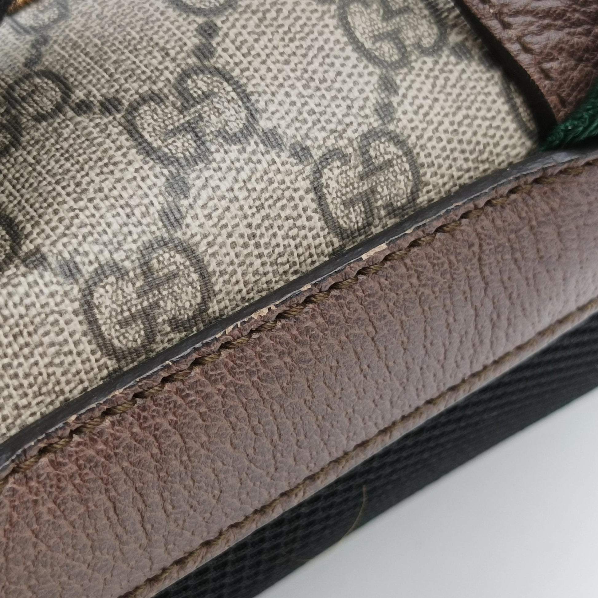 Soft GG Supreme Brown×multicolor PVC coated canvas 473869 C023929655ソフトGGスプリューム ブラウン×マルチカラー PVCコーティングキャンバス 473869 C023929655