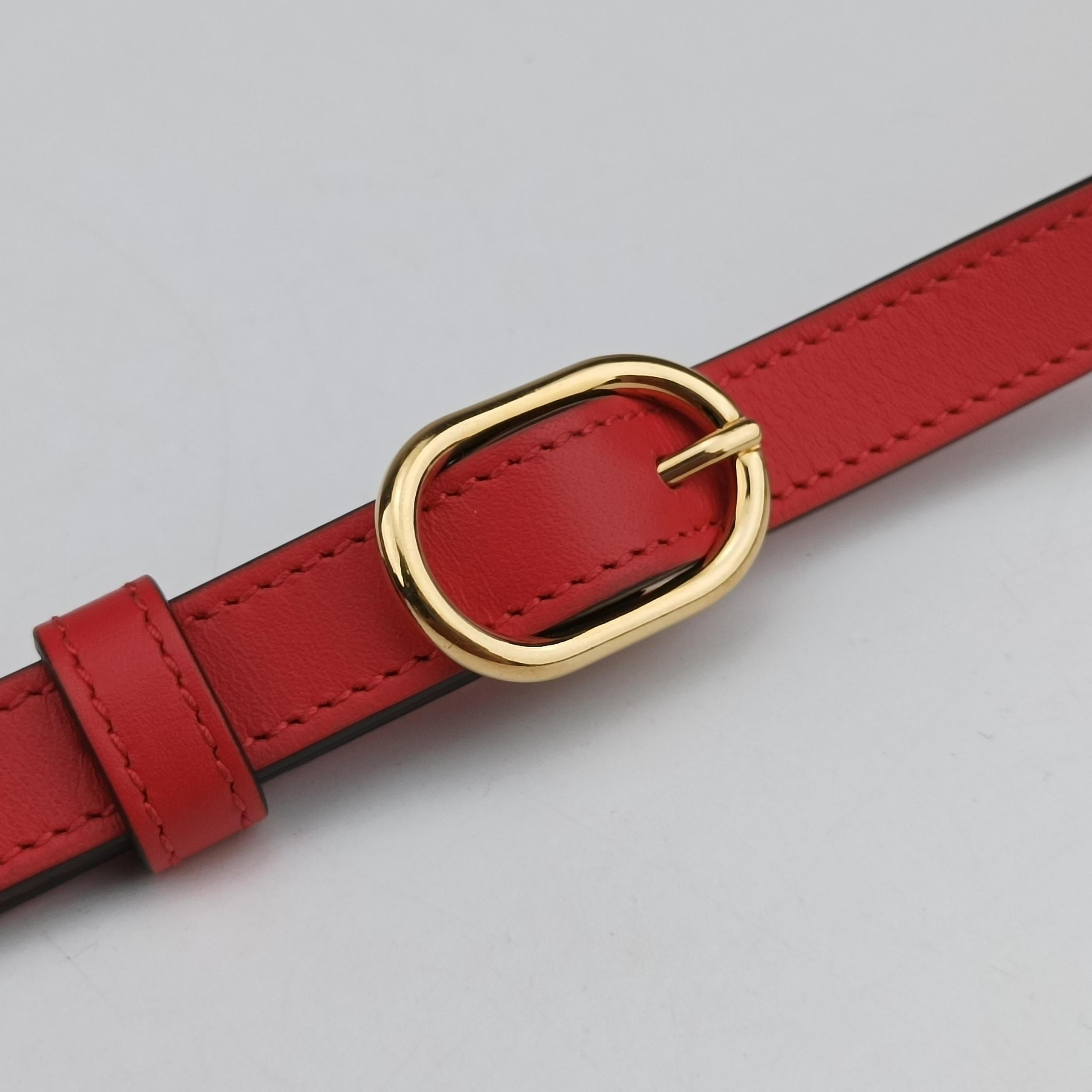 GG Supreme Brown×Red PVC coated canvas 677610 GGスプリーム ブラウン×レッド PVCコーティングキャンバス 677610 