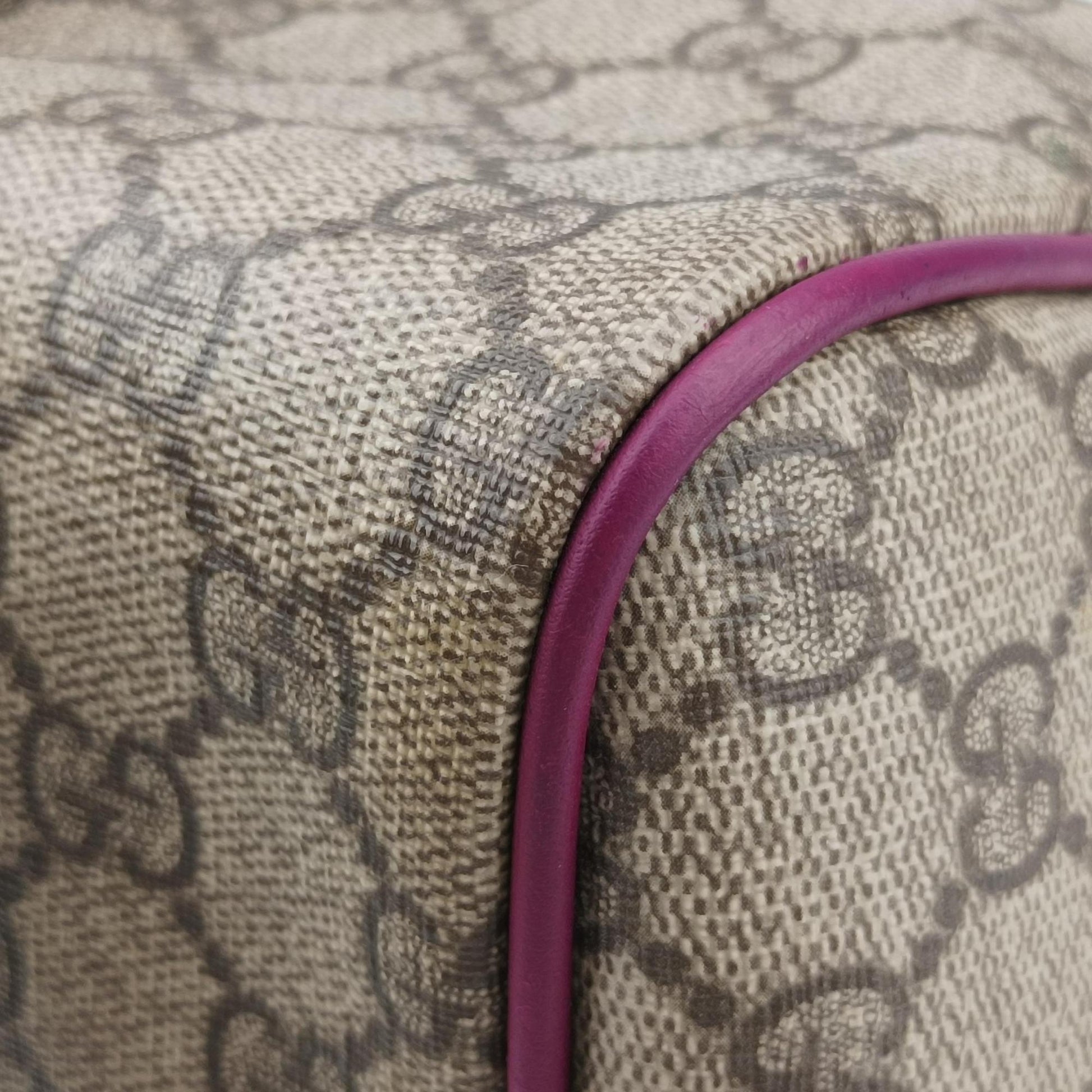 Web Joy GG Supreme beige×purple PVC coated canvas 189895 C2851381GGスプリーム ウェブジョイ ベージュ×パープル PVCコーティングキャンバス 189895 C2851381