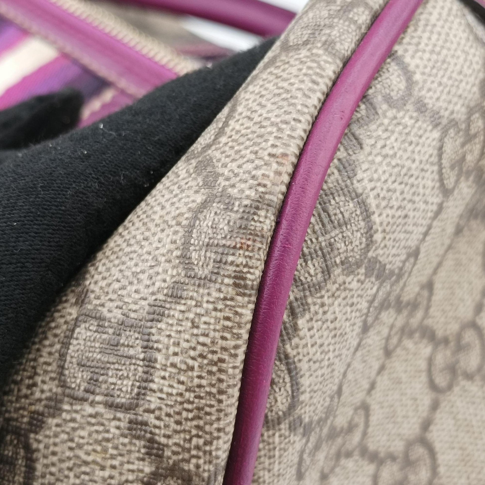 Web Joy GG Supreme beige×purple PVC coated canvas 189895 C2851381GGスプリーム ウェブジョイ ベージュ×パープル PVCコーティングキャンバス 189895 C2851381