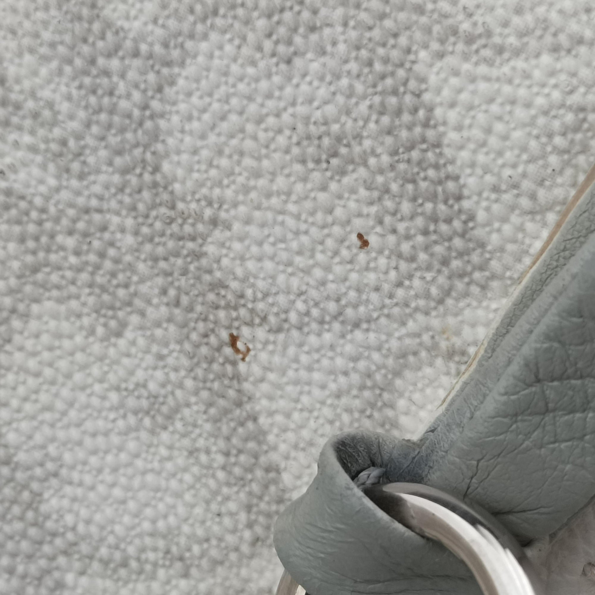 Romantique Barrel Trotter White×Grey PVC coated canvas×leather CM 0027ロマンティックバレルトロッター ホワイト×グレー PVCコーティングキャンバス×レザー CM 0027