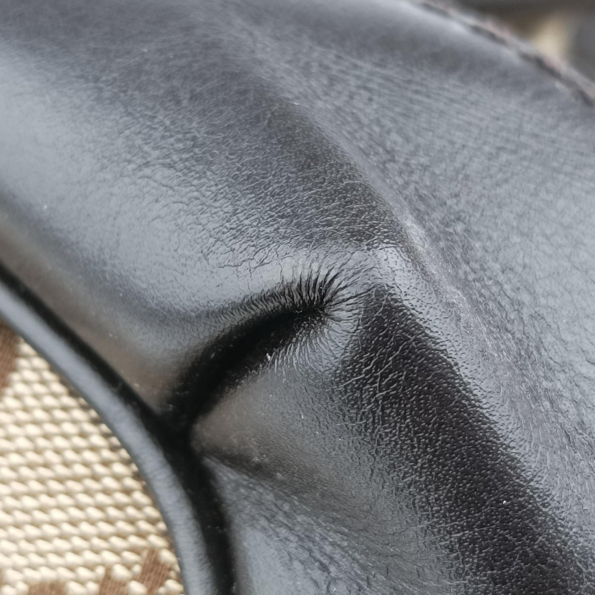 Sukey Brown×Black canvas×Leather 247902 H016922296スーキー ブラウン×ブラック キャンバス×レザー 247902 H016922296