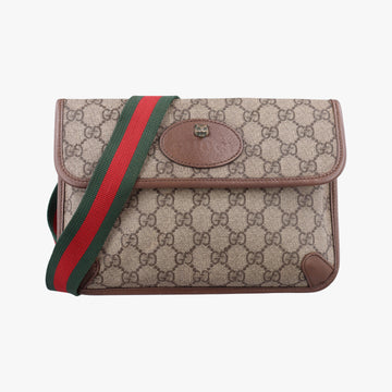 NEO VINTAGE GG Supreme beige×Brown PVC coated canvas×Leather 493930 H027225080ネオ ヴィンテージ GGスプリーム ベージュ×ブラウン PVCコーティングキャンバス×レザー 493930 H027225080