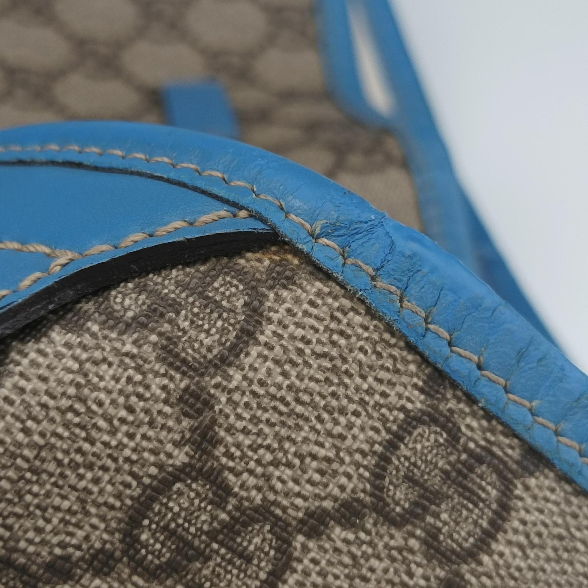 GG Plus GG Supreme beige×blue PVC coated canvas×Leather 197954 G010122080GGプラス GGスプリーム ベージュ×ブルー PVCコーティングキャンバス×レザー 197954 G010122080
