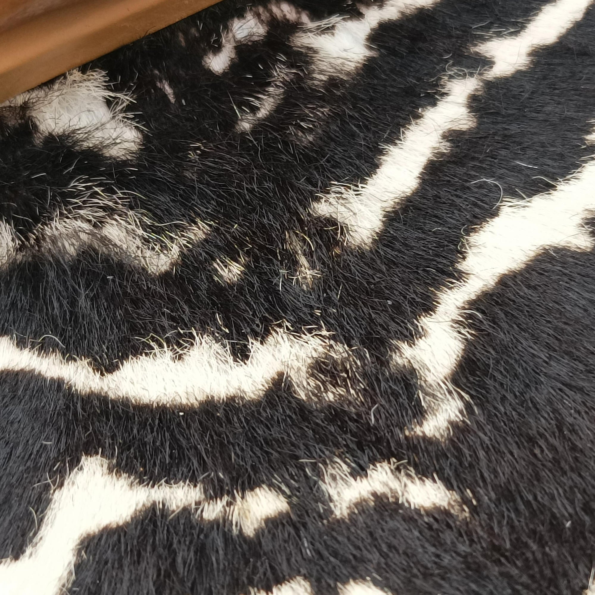 New Bamboo Multicolour ponyhair ×leather 254884 G011190996ニューバンブー マルチカラー ハラコ×レザー 254884 G011190996