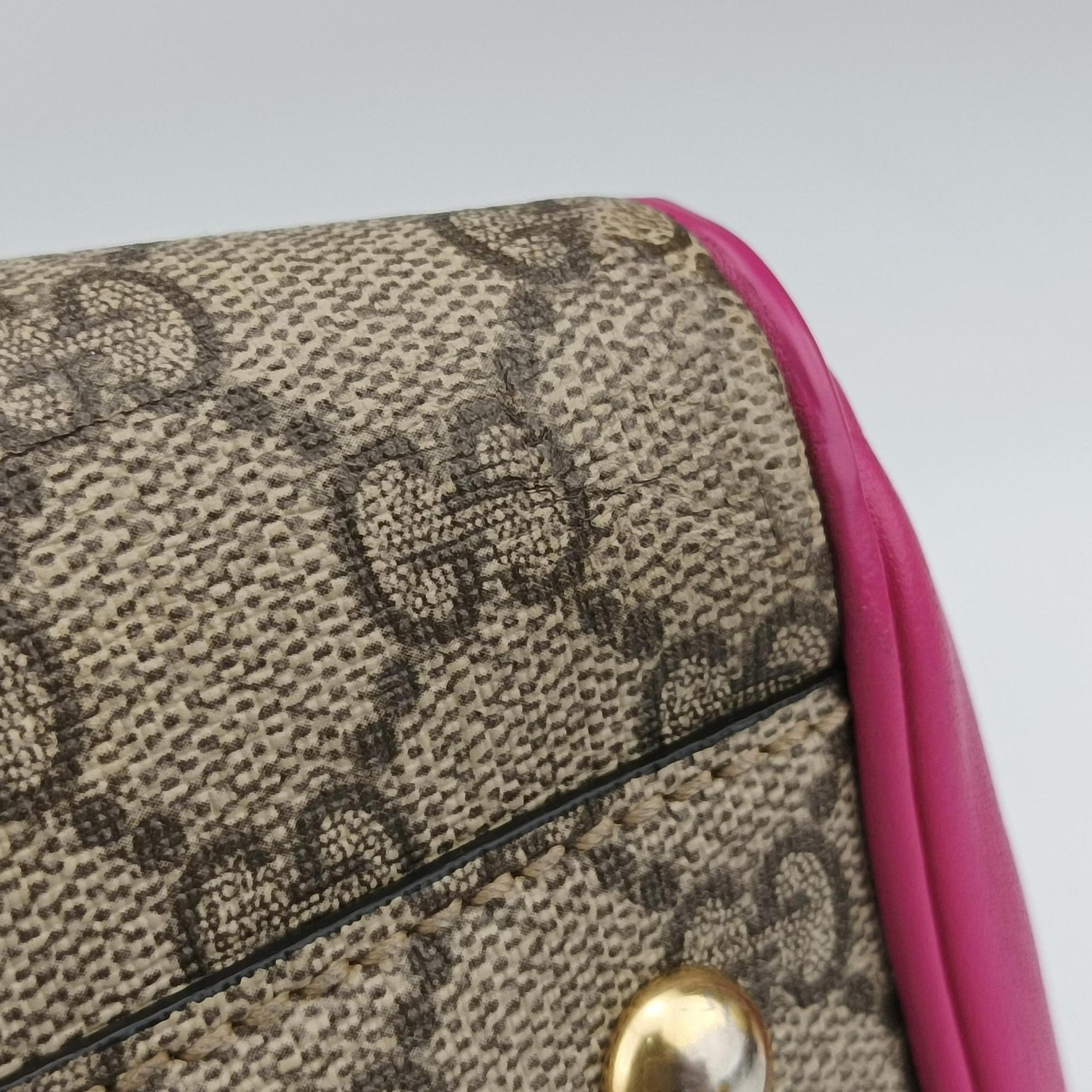 GG SUPREME beige×red×pink PVC coated canvas×leather 409529 G019060864GGスプリーム ベージュ×レッド×ピンク PVCコーティングキャンバス×レザー 409529 G019060864