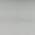 pionniere White leather 1BD039 25ピオニエール ホワイト レザー 1BD039 25