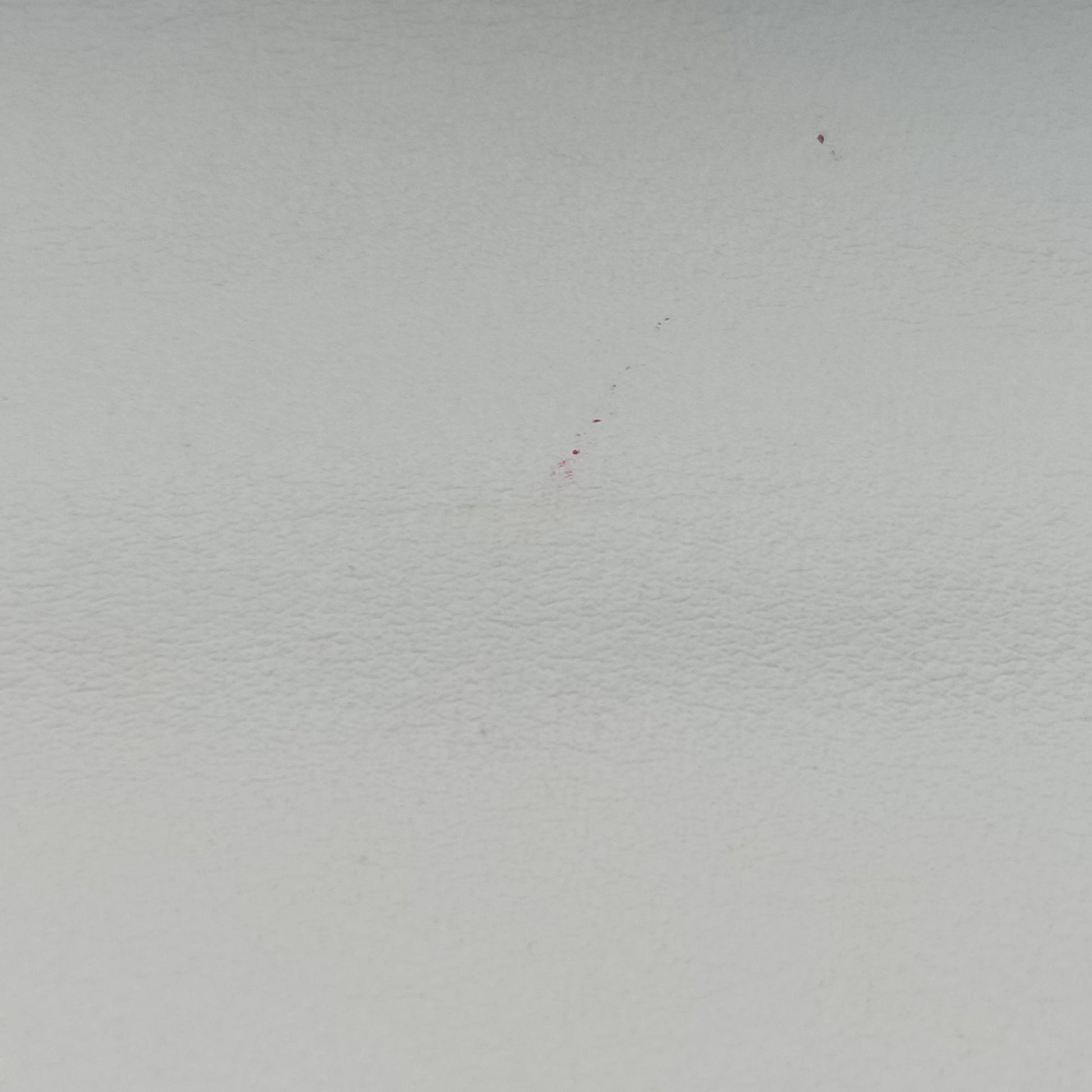 pionniere White leather 1BD039 25ピオニエール ホワイト レザー 1BD039 25