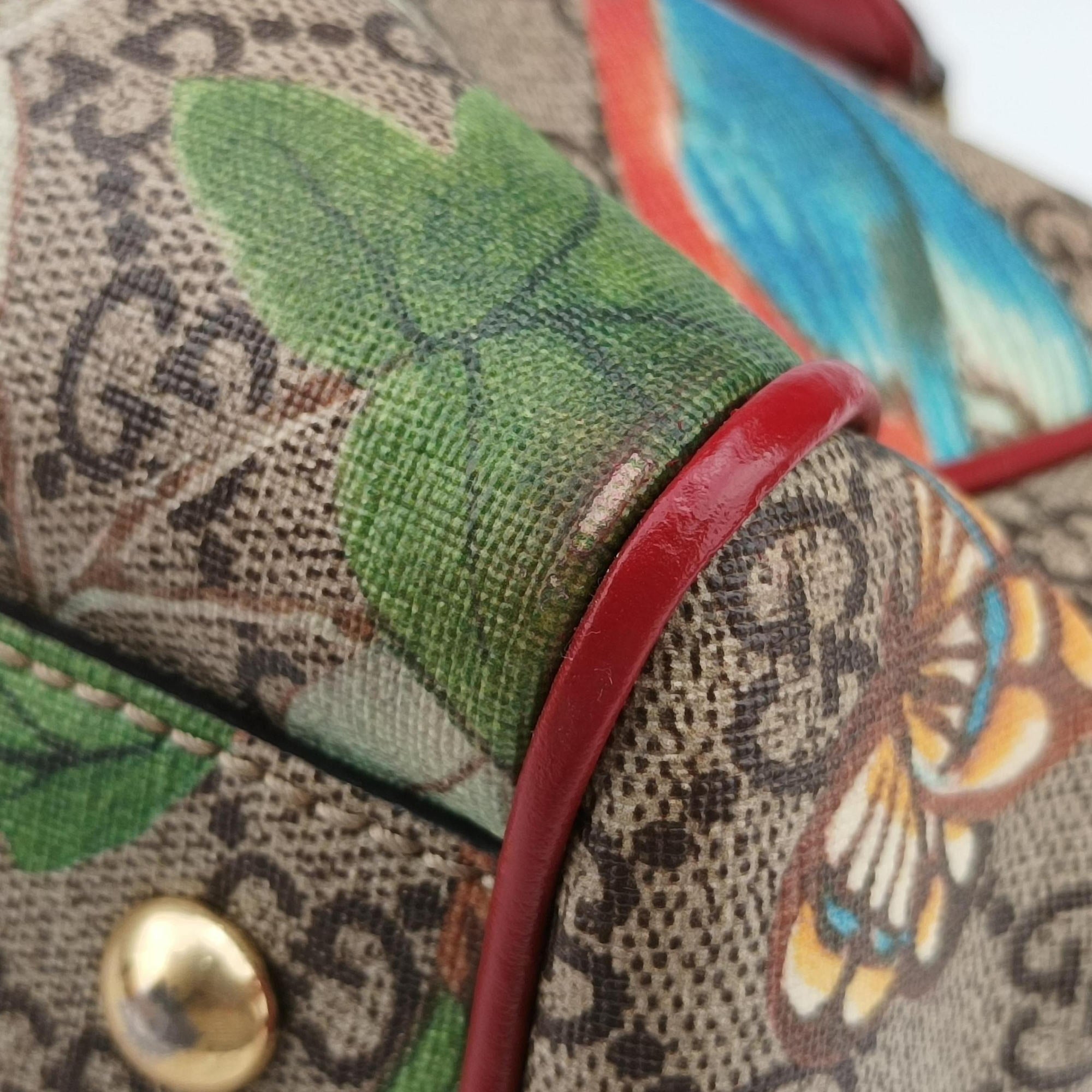 GG SUPREME Beige × Dark Brown × Multi PVC coated canvas×Leather 409529 A109545165GGスプリーム ベージュ×ダークブラウン×マルチ PVCコーティングキャンバス×レザー 409529 A109545165